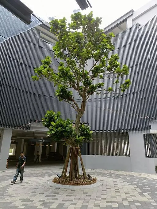 Cozy Sky Trees Bukit Indah With Smart Tv L Pool B8 Apartamento Johor Bahru